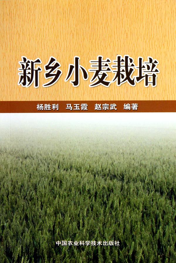 新乡小麦栽培