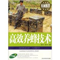 ЧB似g