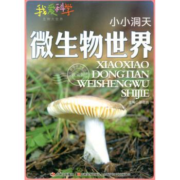 小小洞天微生物世界