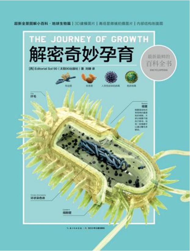 最新最鲜的百科全书:解密奇妙孕育(彩图版)(精装版)(全四册)