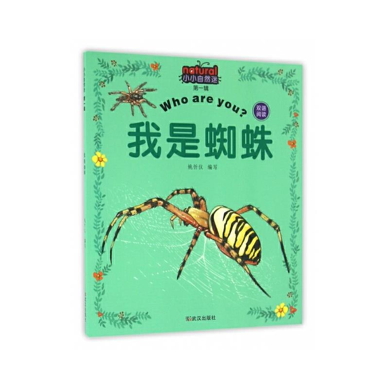 我是蜘蛛