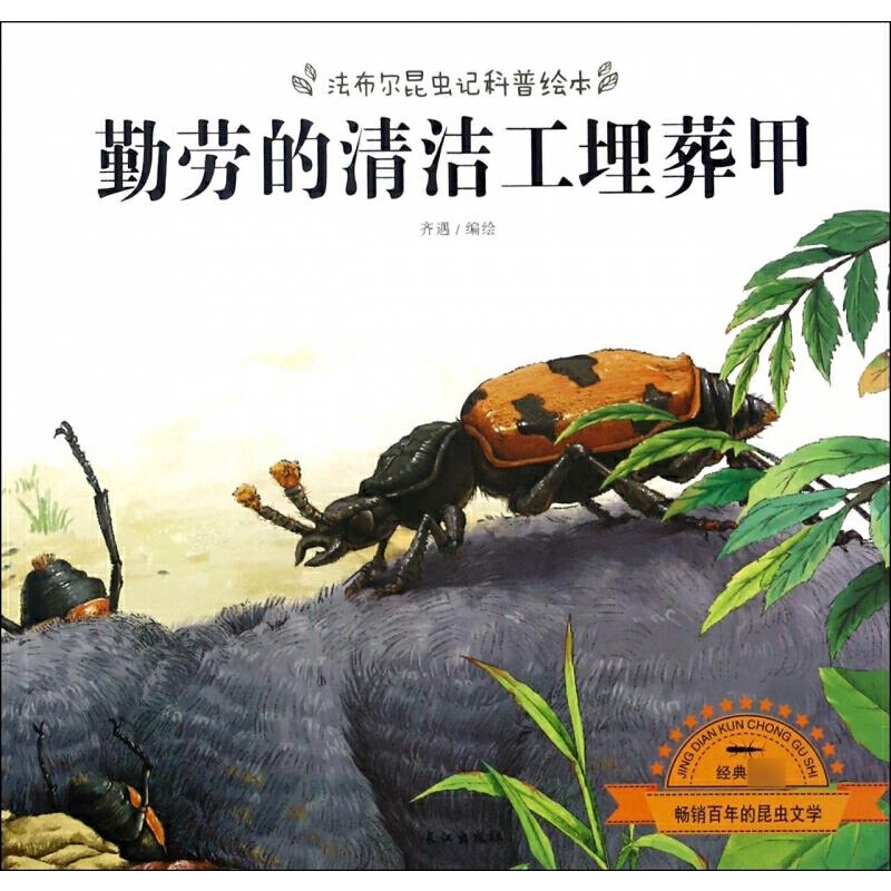 勤劳的清洁工埋葬甲