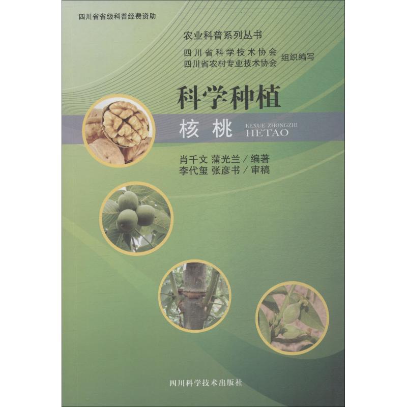 科学种植核桃