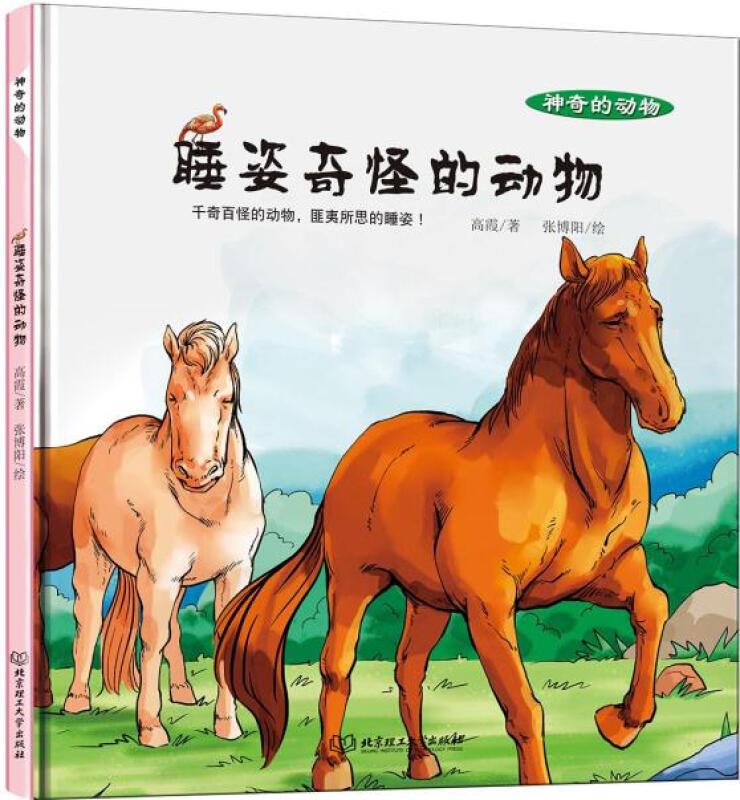 神奇的动物 睡姿奇怪的动物