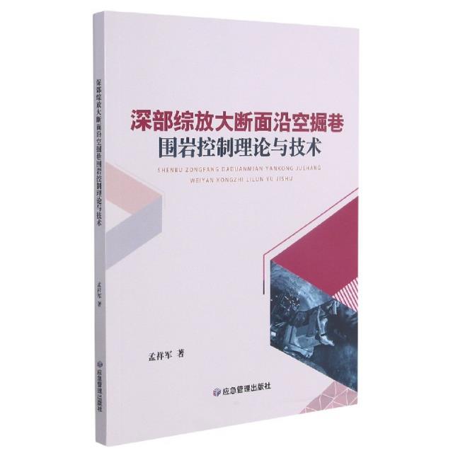 深部综放大断面沿空掘巷围岩控制理论与技术