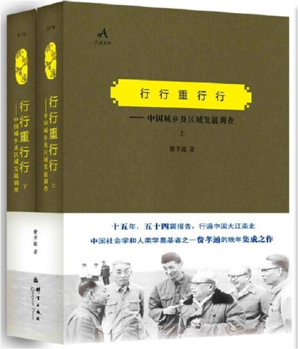 民盟智库丛书:行行重行行——中国城乡及区域发展调查(上、下)