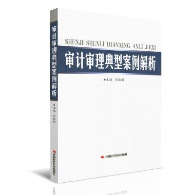 审计审理典型案例解析