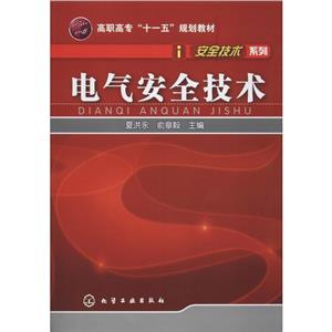 電氣安全技術/夏洪永/安全技術系列