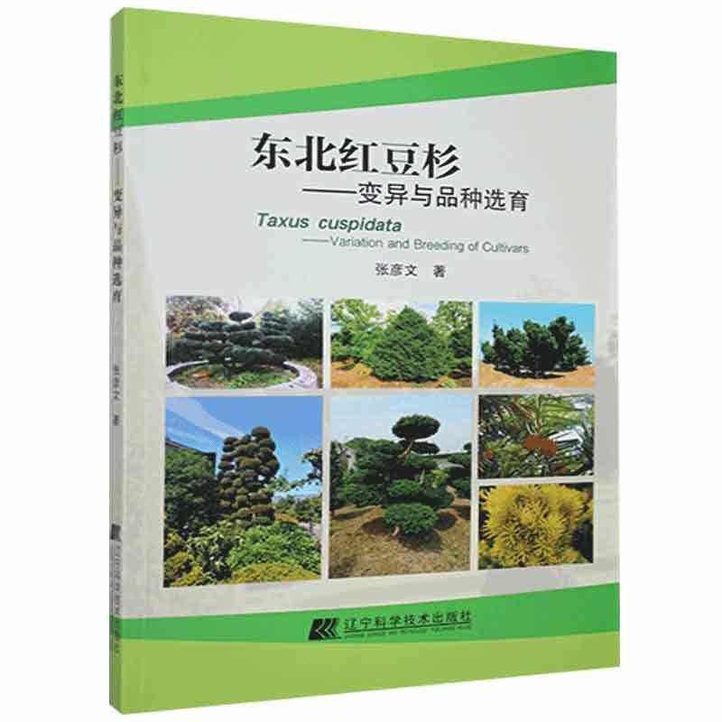 东北红豆杉:变异与品种选育:variation and breeding of cultivars