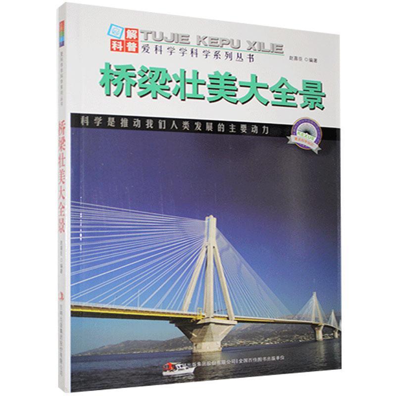 桥梁壮美大全景