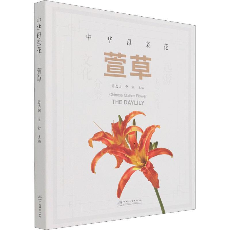 中华母亲花(萱草)