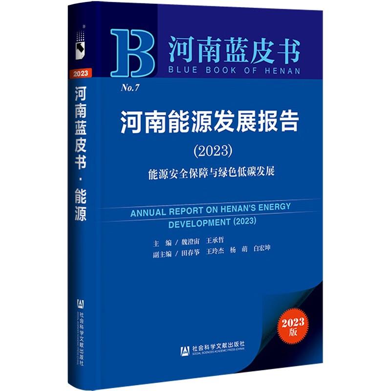 河南能源发展报告:2023:2023:能源安全保障与绿色低碳发展