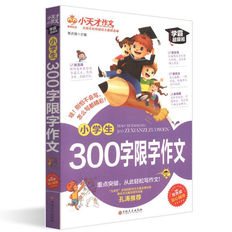 小学生300字限字作文