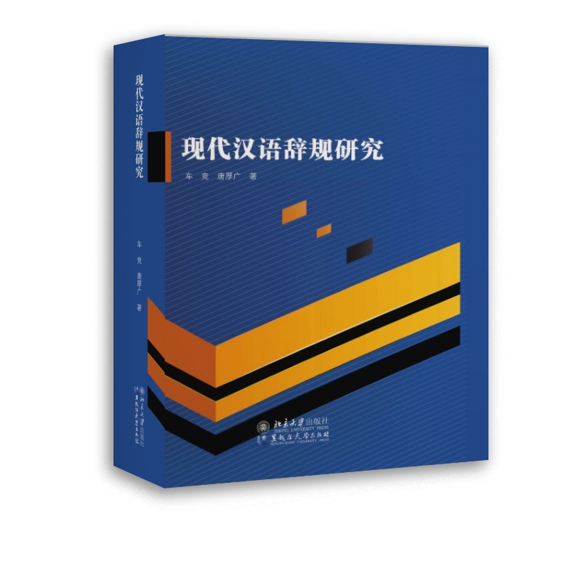 现代汉语辞规研究
