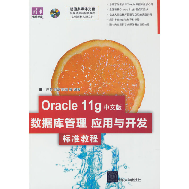 Oracle 11g中文版数据库管理应用于开发标准教程