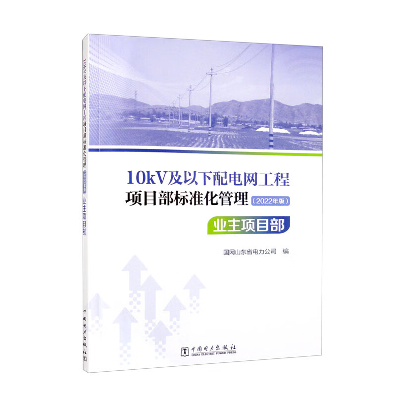 10kV及以下配电网工程项目部标准化管理(2022年版)业主项目部