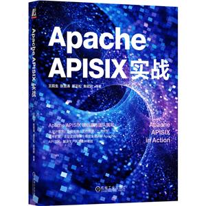 Apache APISIXʵս