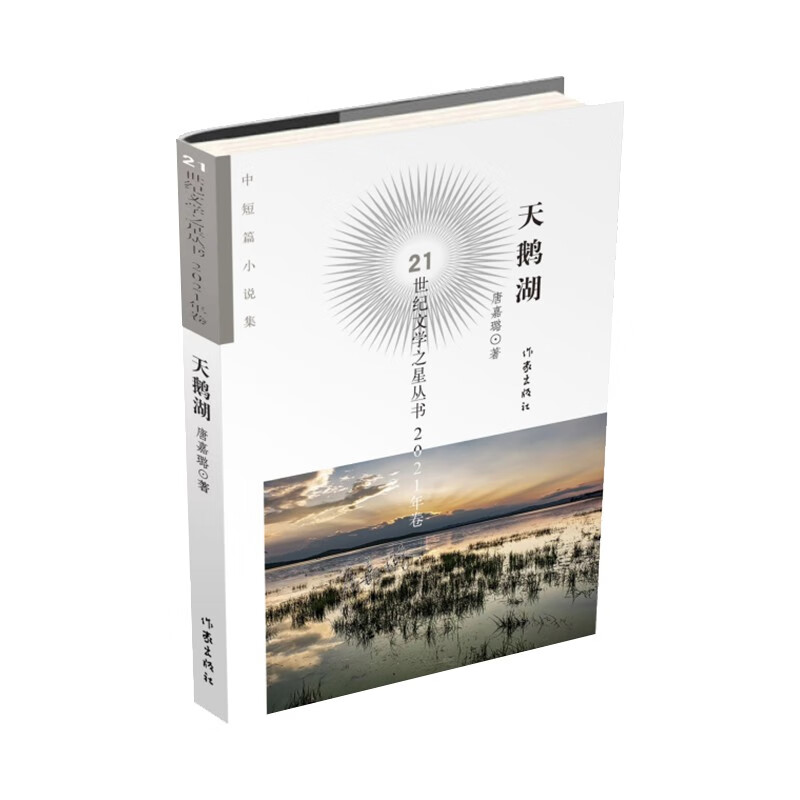 天鹅湖(21世纪文学之星丛书2021年卷)/唐嘉璐