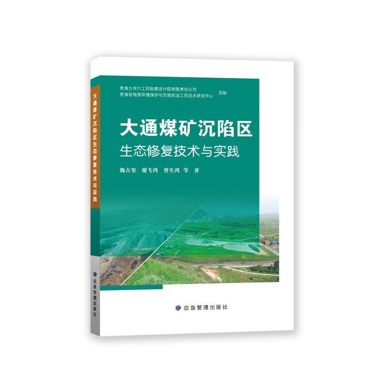 大通煤矿沉陷区生态修复技术与实践