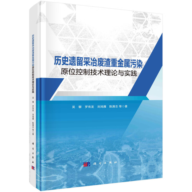 历史遗留采冶废渣重金属污染原位控制技术理论与实践
