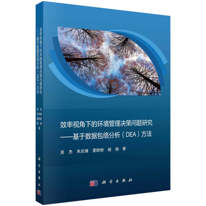 效率视角下的环境管理决策问题研究——基于数据包络分析(DEA)方法