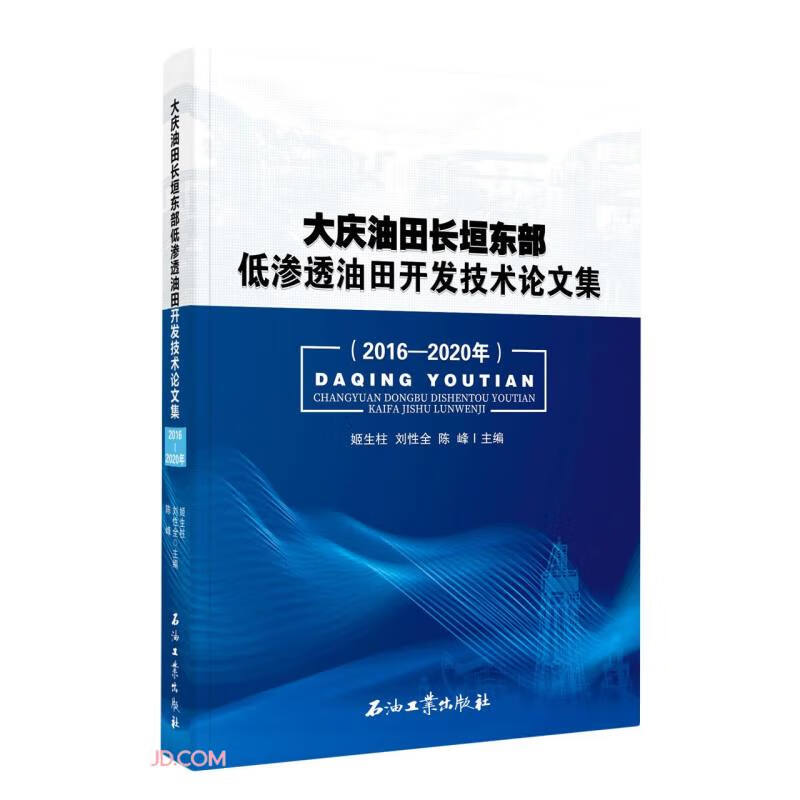 大庆油田长恒东部低渗透油田开发技术论文集