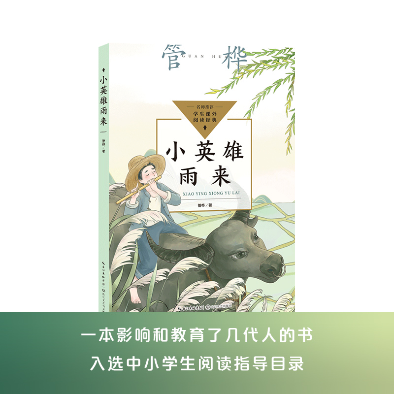 小英雄雨来(中小学生阅读指导目录·小学)/管桦 著