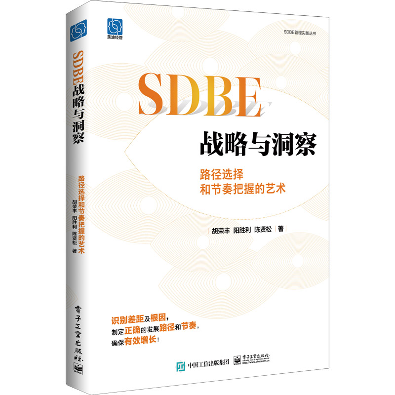 SDBE战略与洞察:路径选择和节奏把握的艺术