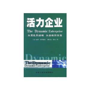 活力企業--從混亂到戰略,從戰略到實施