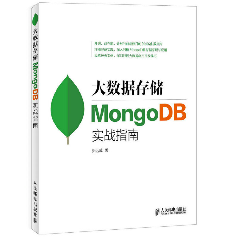 大数据存储 MongoDB实战指南