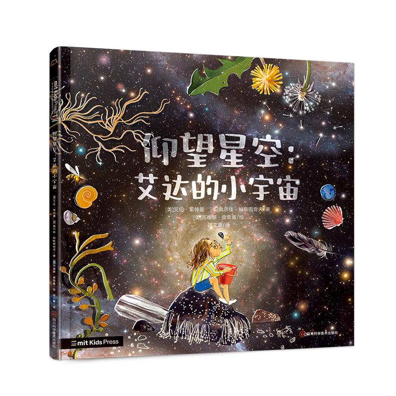 仰望星空:艾达的小宇宙