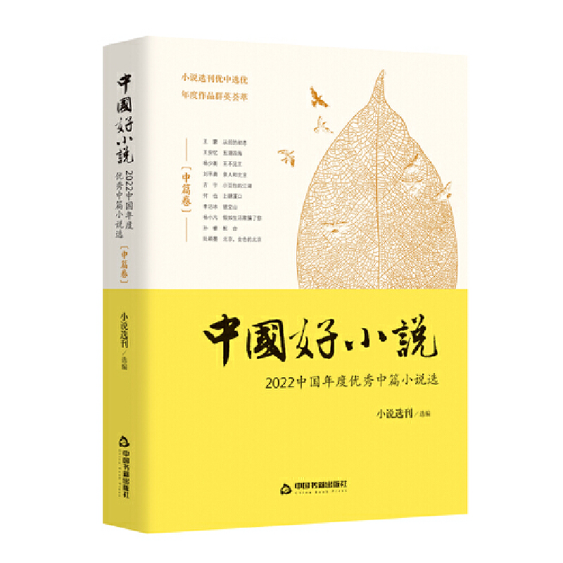 中国好小说·中篇卷:2022 中国年度优秀中篇小说选