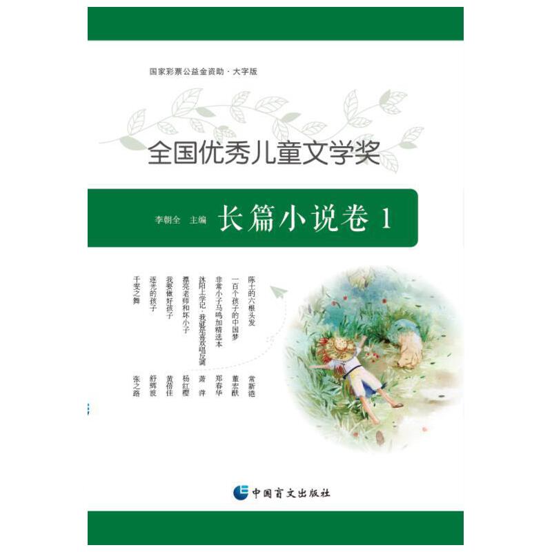 全国优秀儿童文学奖 长篇小说卷 1 大字版