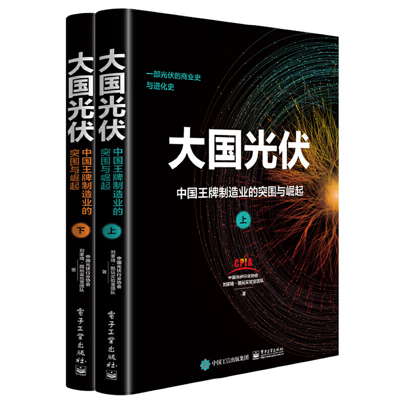 大国光伏 中国王牌制造业的突围与崛起(全2册)