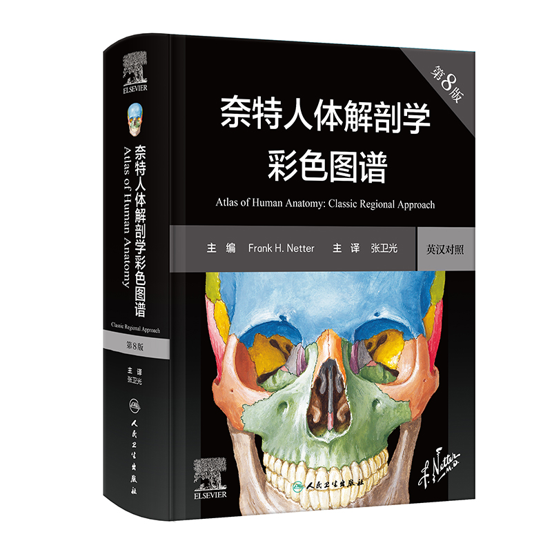 奈特人体解剖学彩色图谱,第8版(翻译版)