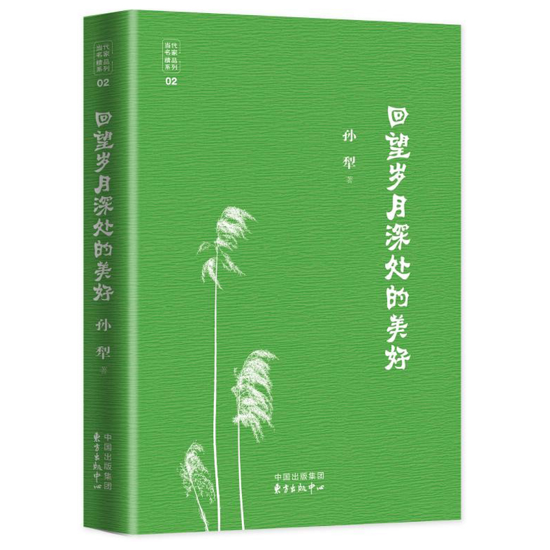 回望岁月深处的美好(九品)