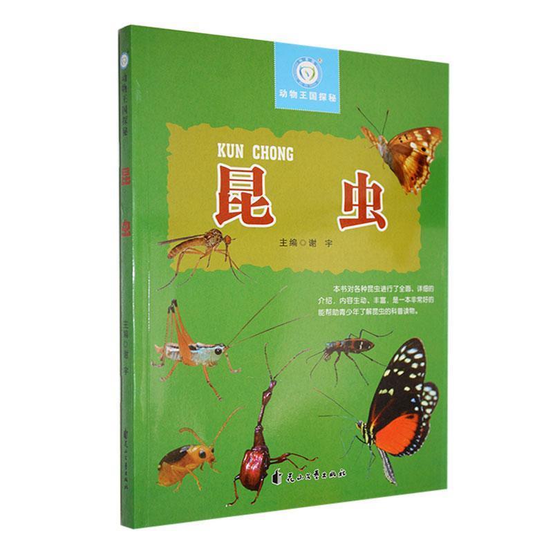 动物王国探秘:昆虫