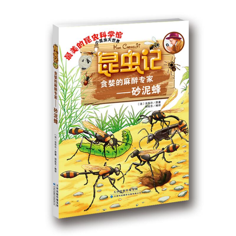 昆虫记·贪婪的麻醉专家—砂泥蜂