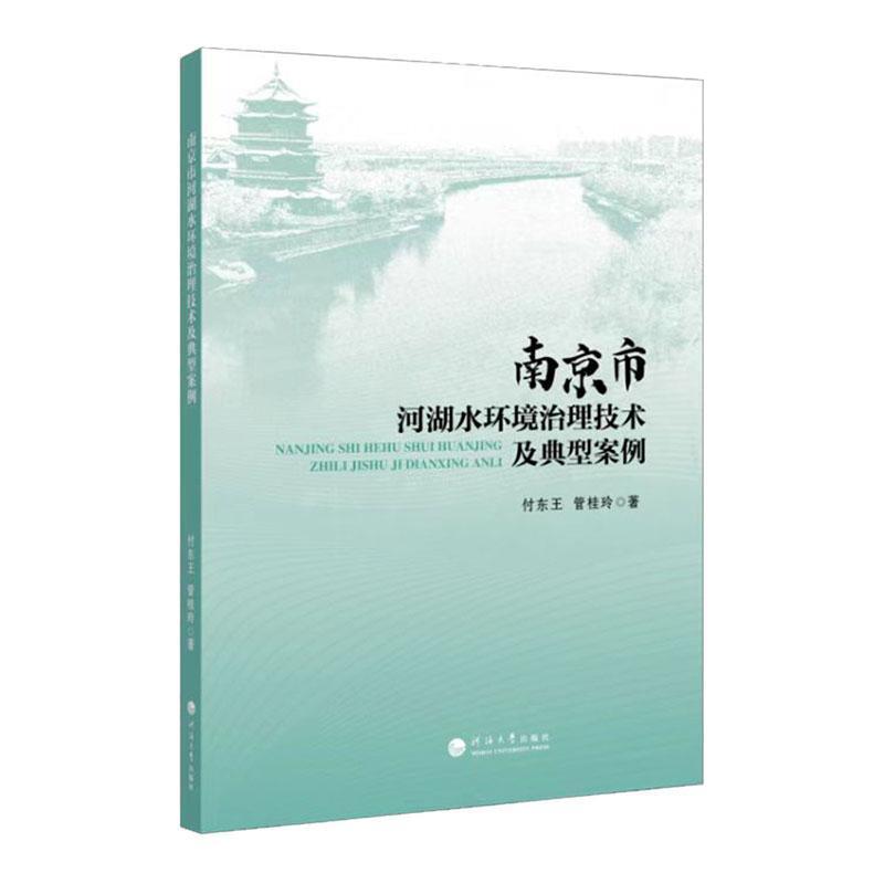 南京市河湖水环境治理技术及典型案例