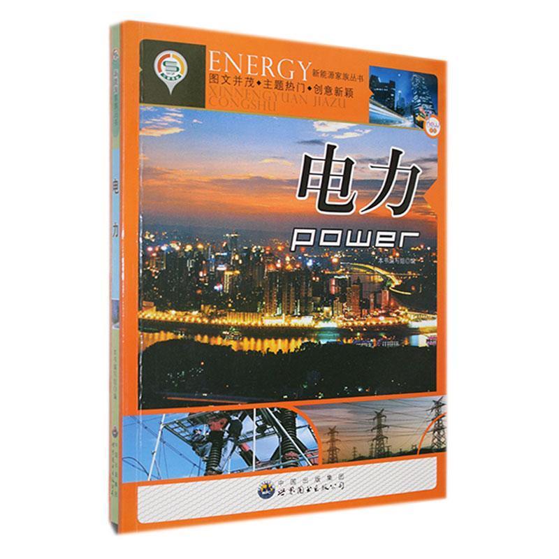 新能源家族丛书:电力