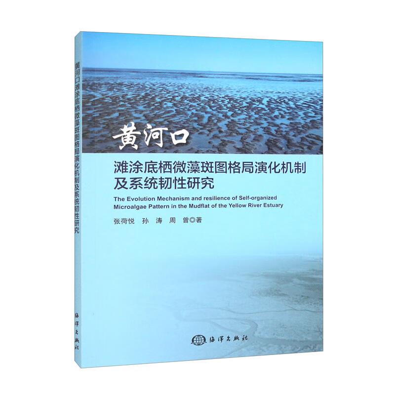 黄河口滩涂底栖微藻斑图格局演化机制及系统韧性研究