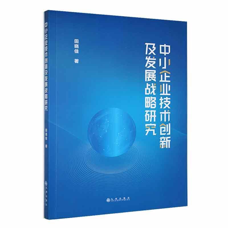 中小企业技术创新及发展战略研究