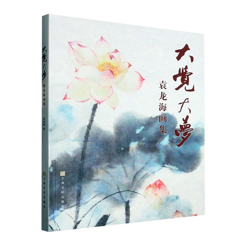 大觉大梦·袁龙海画集