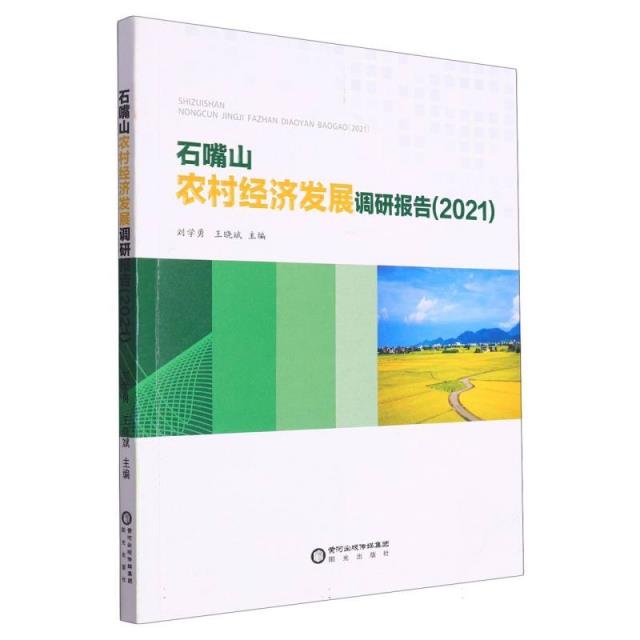 石嘴山农村经济发展调研报告(2021)