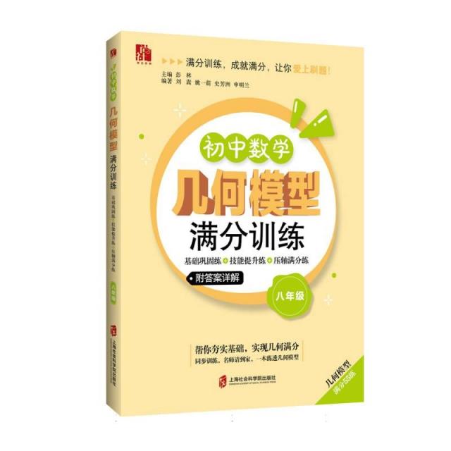 初中数学几何模型满分训练——基础巩固练+技能提升练+压轴满分练(八年级