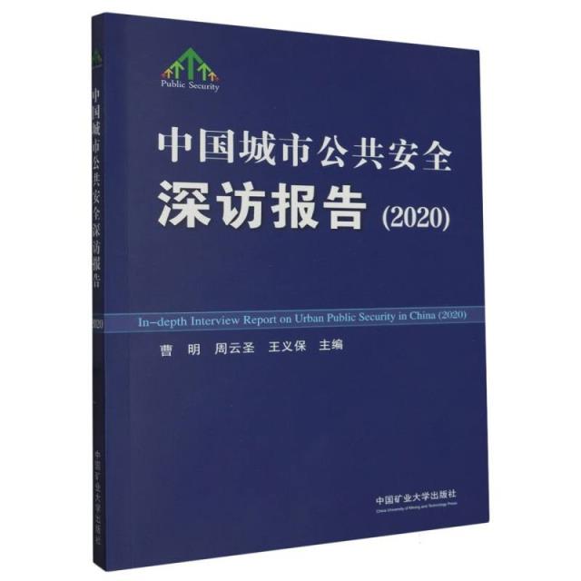 中国城市公共安全深访报告(2020)