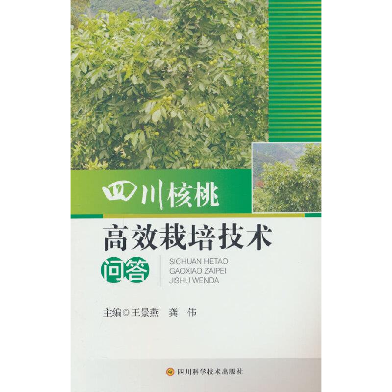 四川核桃高效栽培技术问答