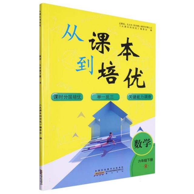 AH课标数学6下(人教版)/从课本到培优