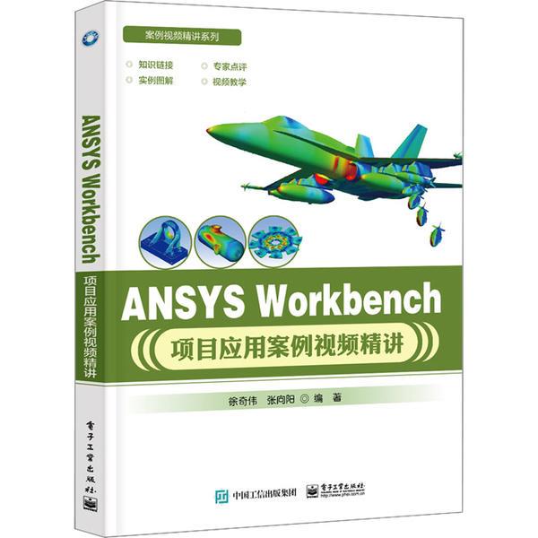 ANSYS WORKBENCH项目应用案例视频精讲