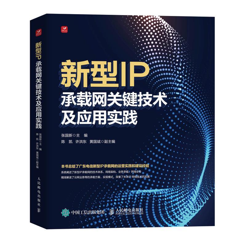 新型IP承载网关键技术及应用实践